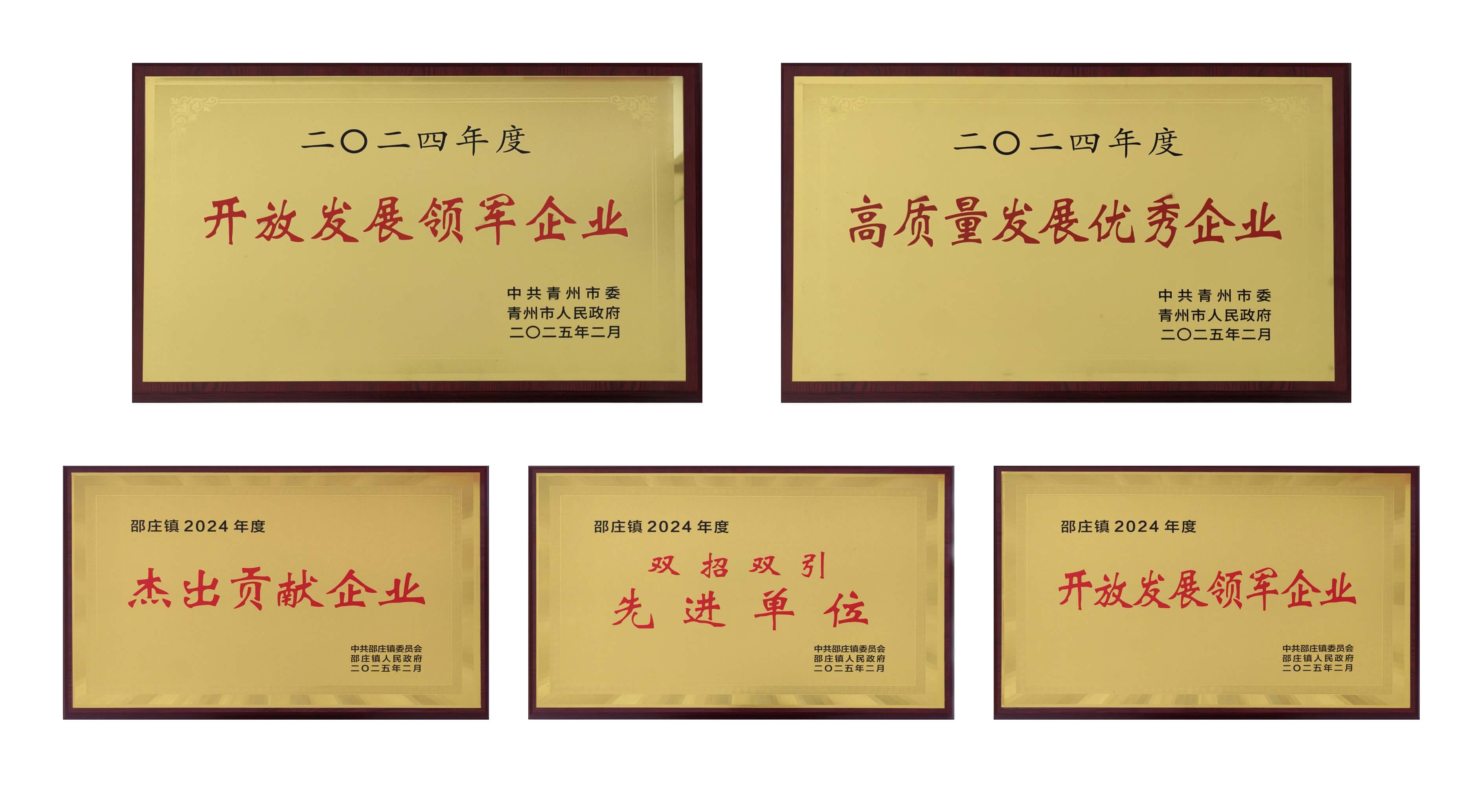 山东Stake荣获多项殊荣